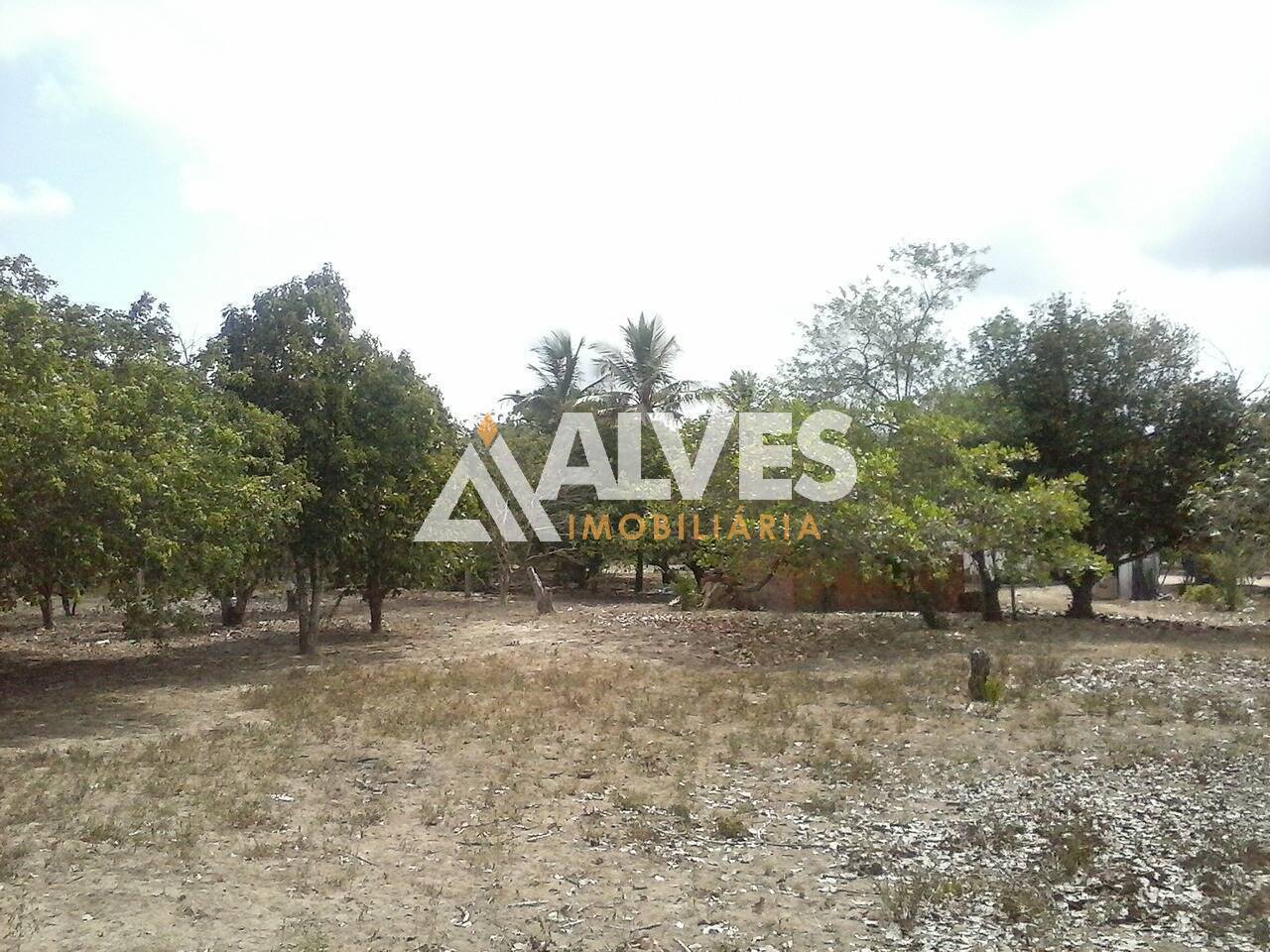 Terreno, 10000 m² - Foto 6