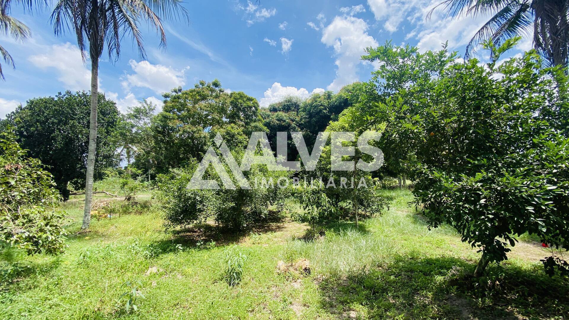 Sítio, 2 quartos, 2178 m² - Foto 4