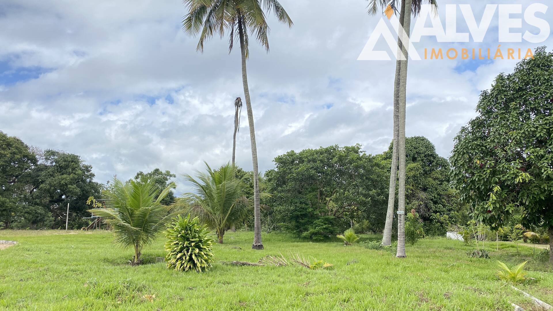 Terreno, 2 hectares - Foto 4