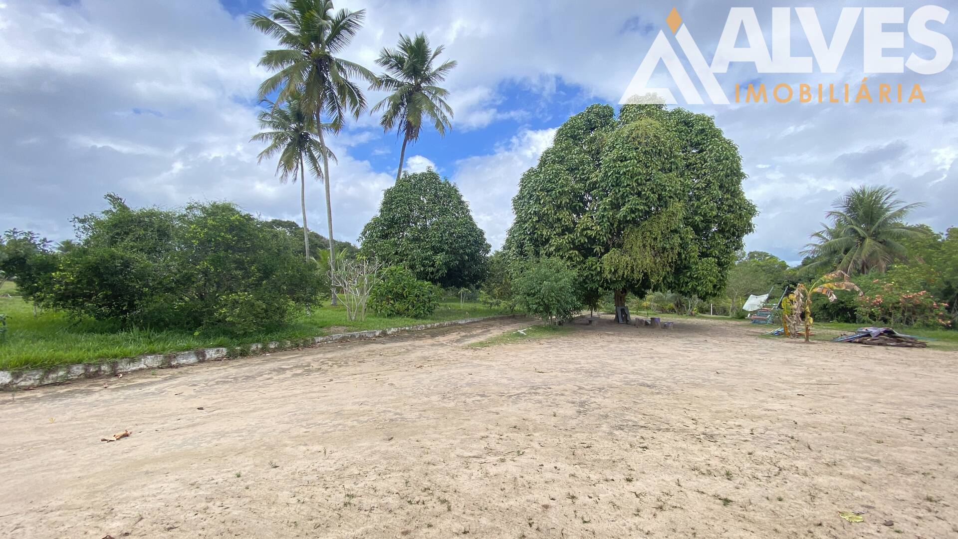 Terreno, 2 hectares - Foto 7