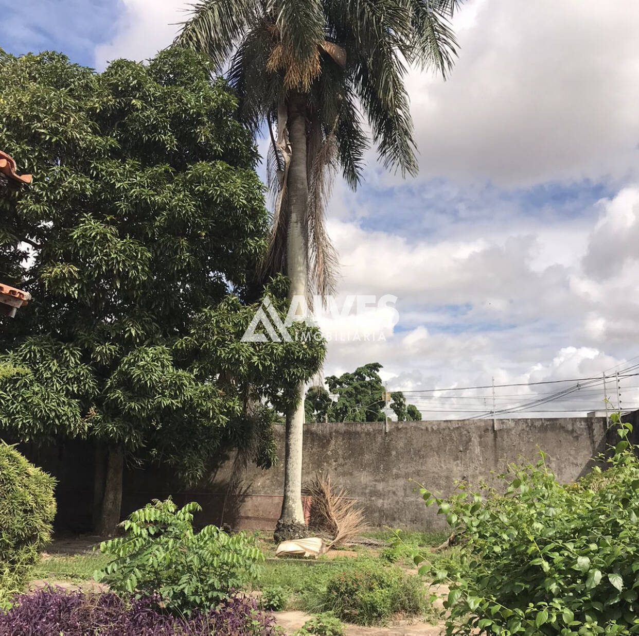 Casa à venda com 4 quartos, 200m² - Foto 49