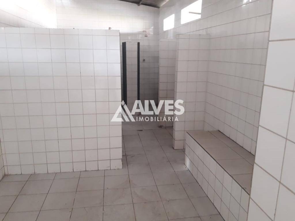 Depósito-Galpão-Armazém à venda, 2000m² - Foto 20