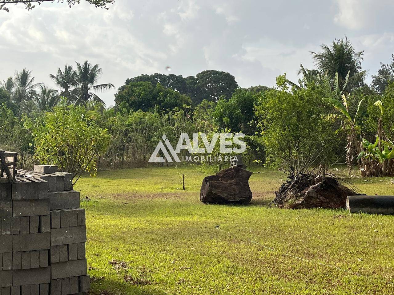 Sítio à venda com 3 quartos, 3600m² - Foto 24