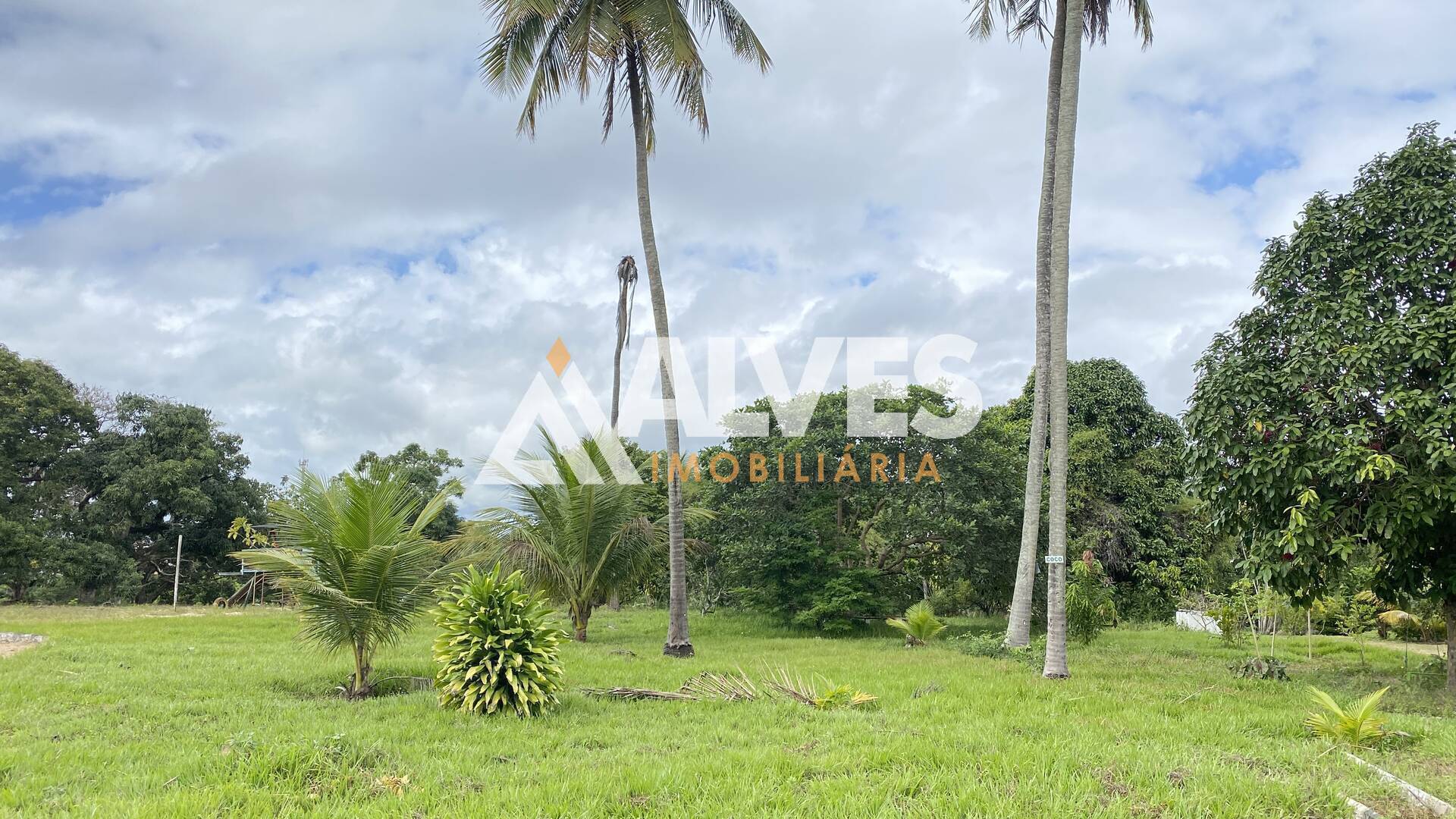 Terreno, 10000 m² - Foto 5