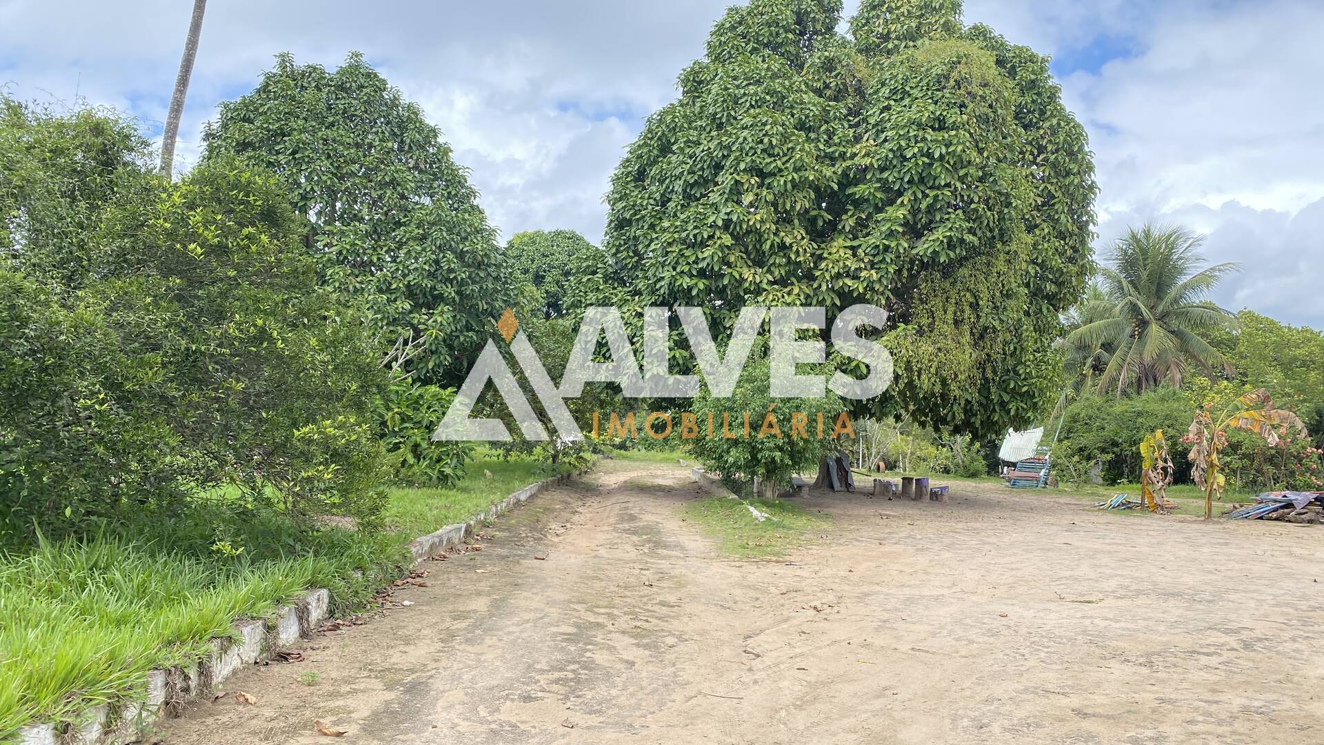 Terreno, 10000 m² - Foto 7