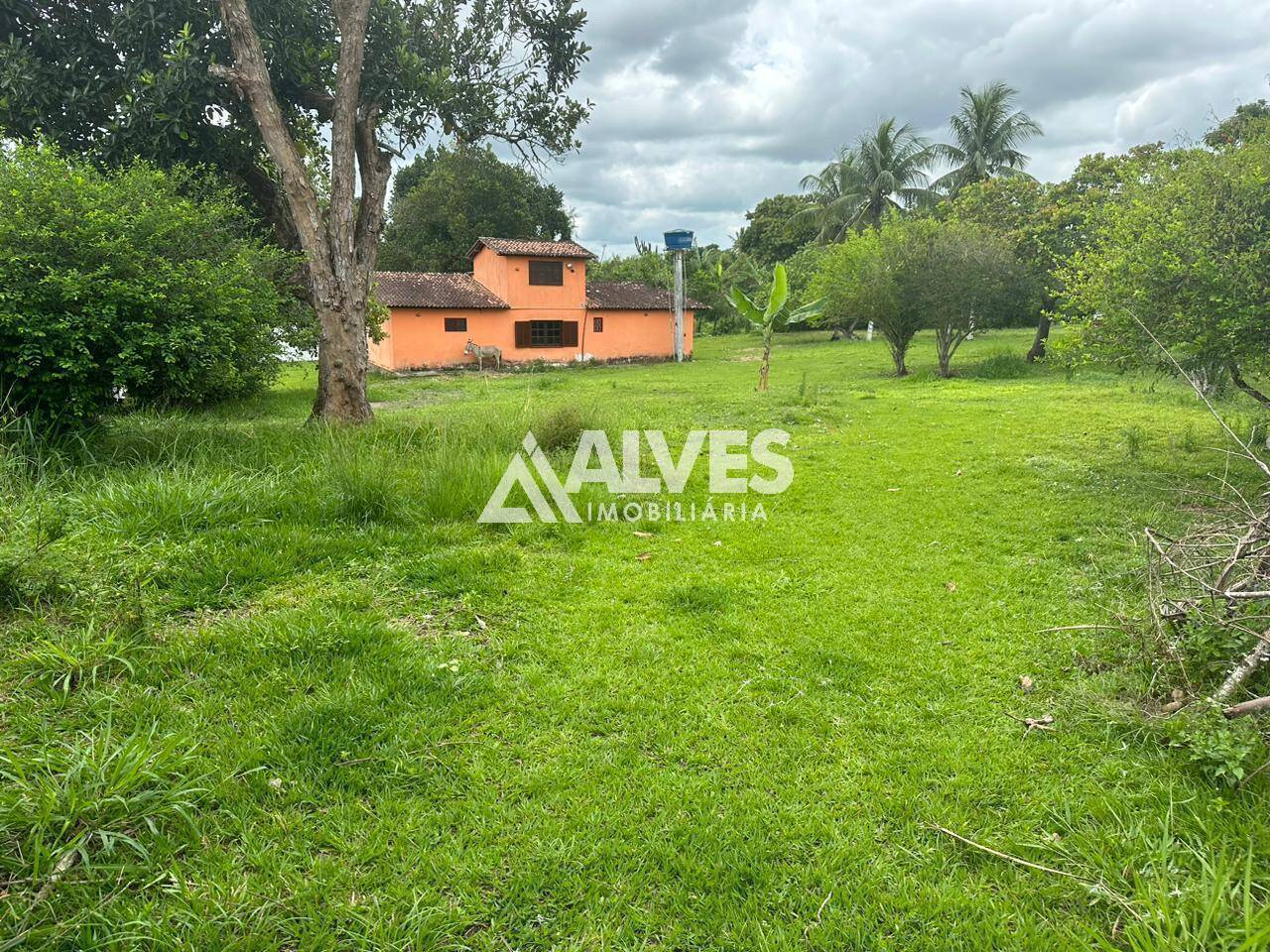Sítio à venda com 2 quartos, 4300m² - Foto 7
