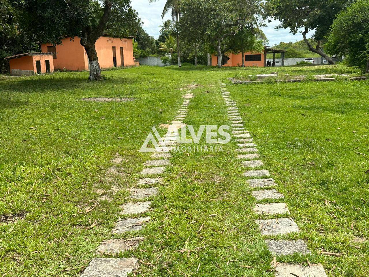 Sítio à venda com 2 quartos, 4300m² - Foto 6
