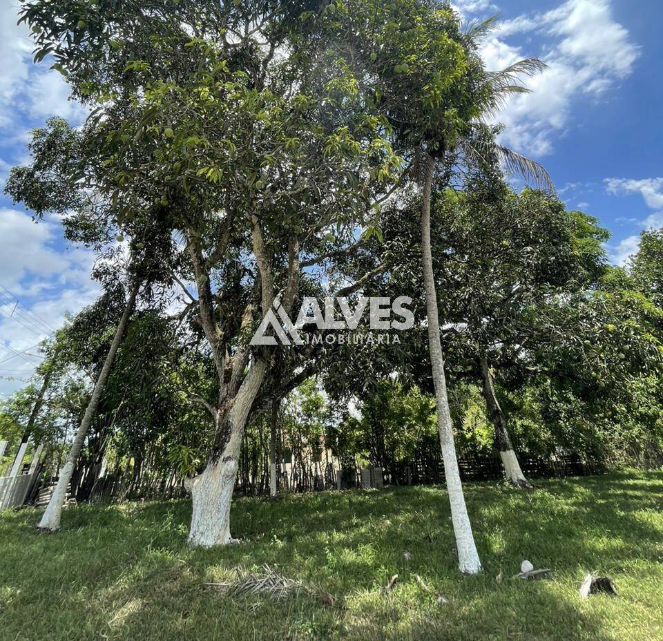 Sítio à venda com 2 quartos, 4300m² - Foto 16