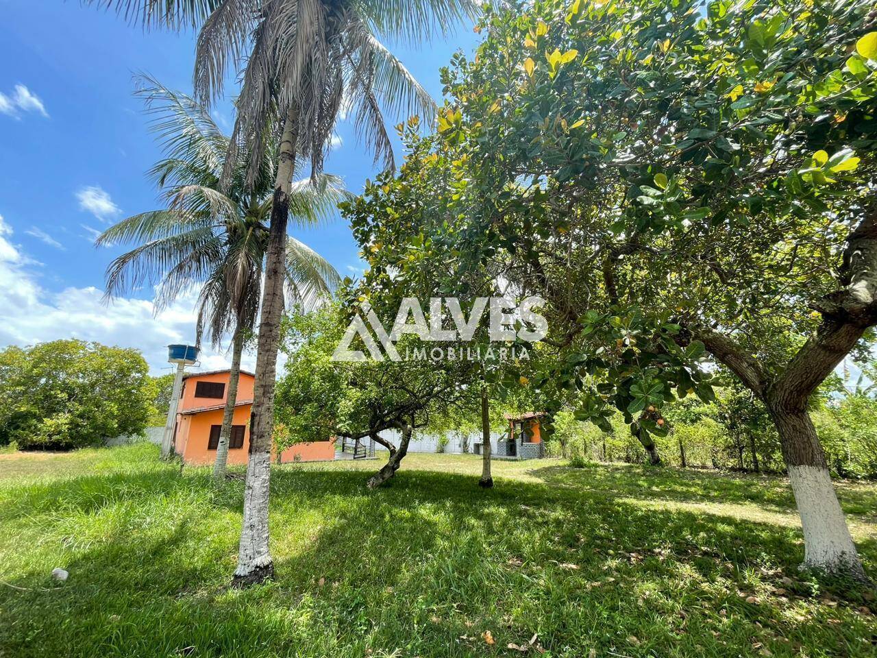 Sítio à venda com 2 quartos, 4300m² - Foto 27