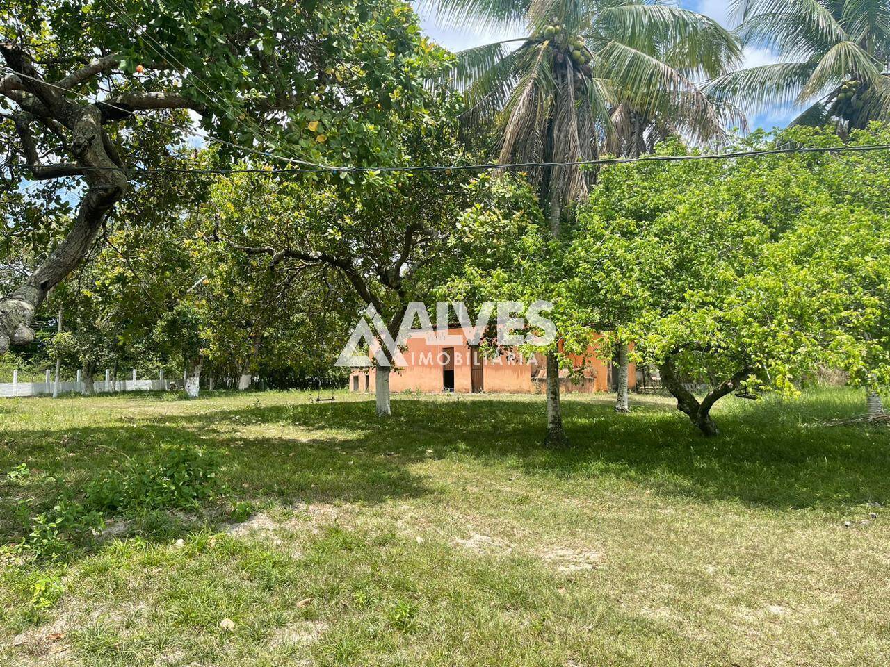 Sítio à venda com 2 quartos, 4300m² - Foto 32