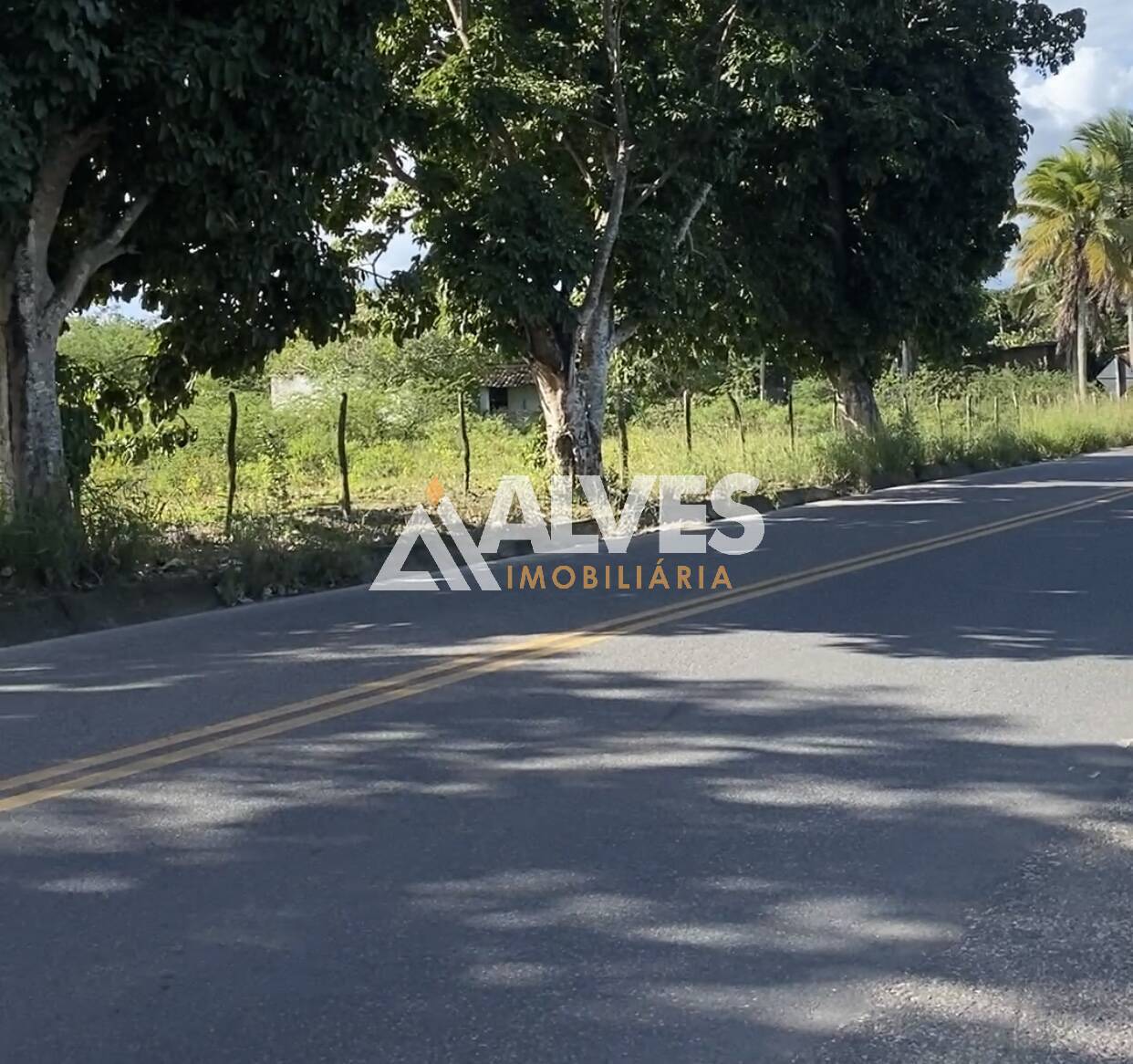 Terreno, 26 hectares - Foto 1