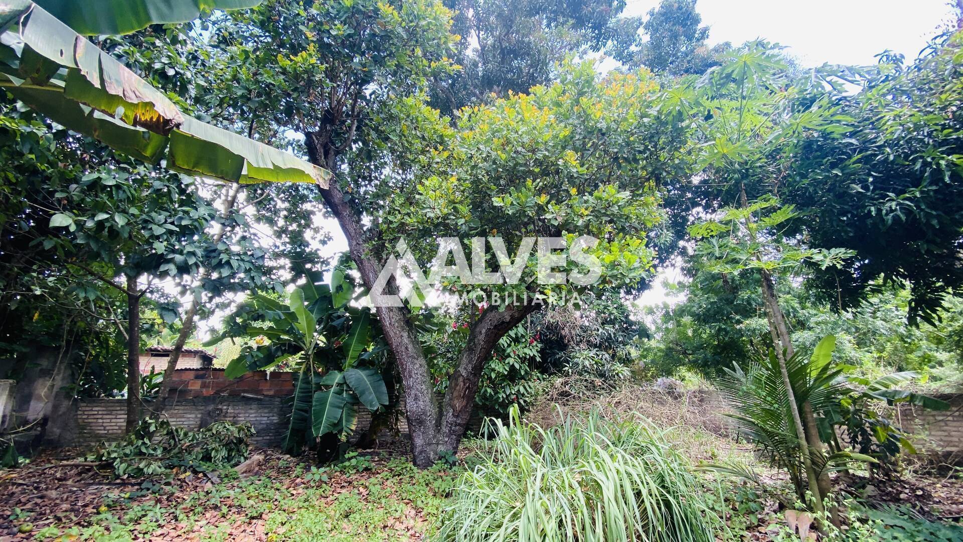 Sítio à venda com 2 quartos, 2178m² - Foto 16