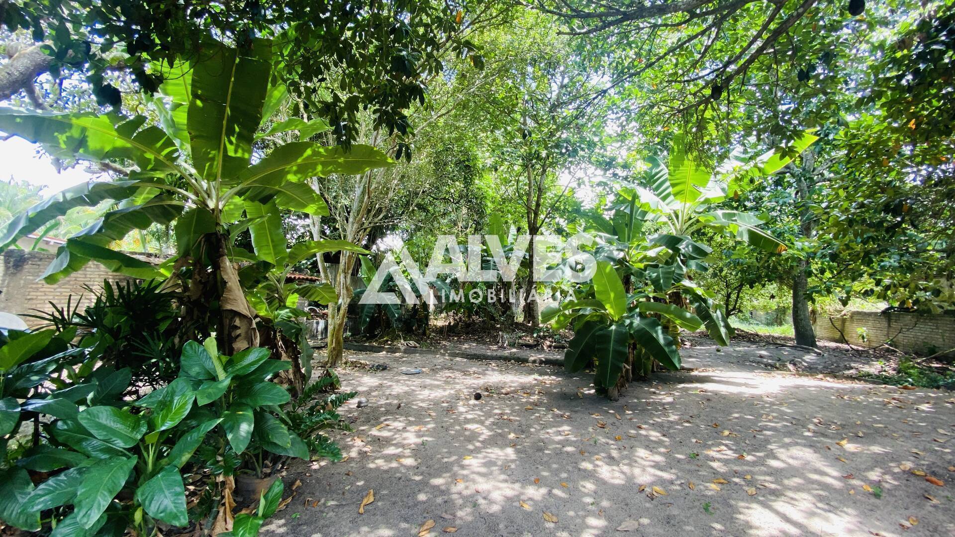 Sítio à venda com 2 quartos, 2178m² - Foto 17