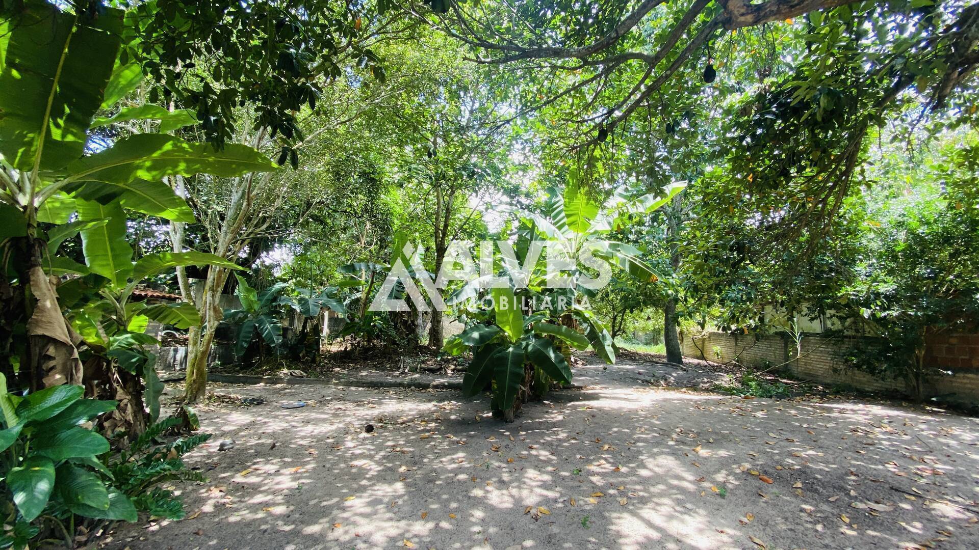 Sítio à venda com 2 quartos, 2178m² - Foto 12