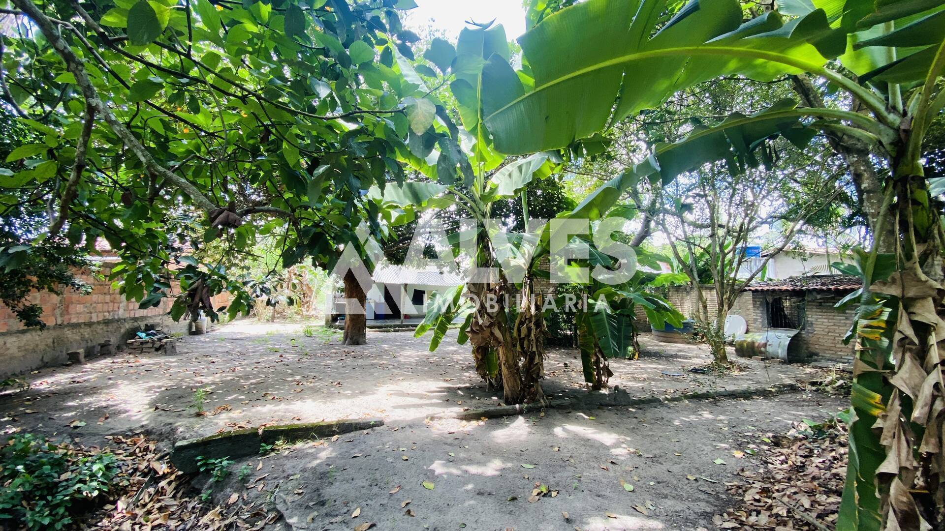 Chácara, 2 quartos, 2178 m² - Foto 12