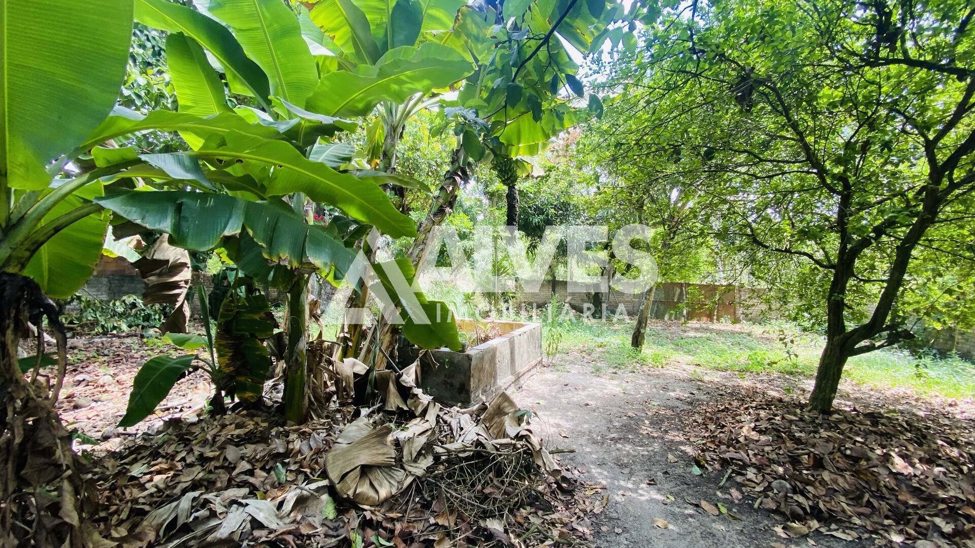 Chácara, 2 quartos, 2178 m² - Foto 15