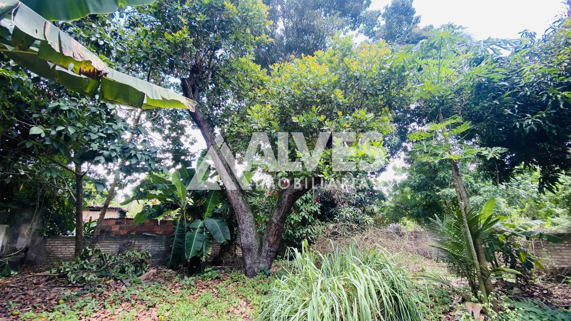 Chácara, 2 quartos, 2178 m² - Foto 16