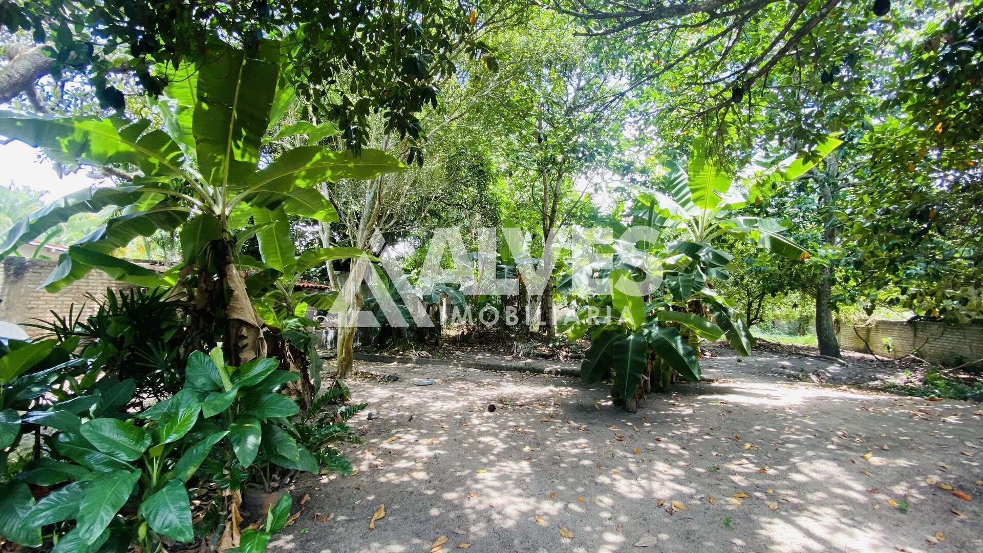 Chácara, 2 quartos, 2178 m² - Foto 17