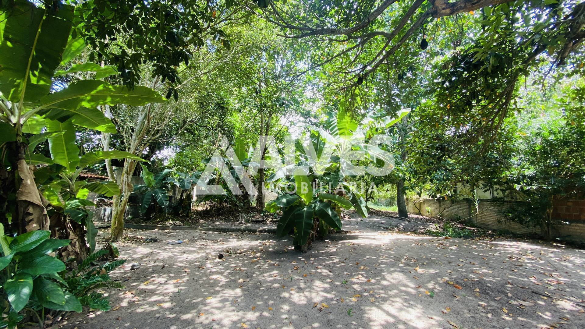 Chácara, 2 quartos, 2178 m² - Foto 11