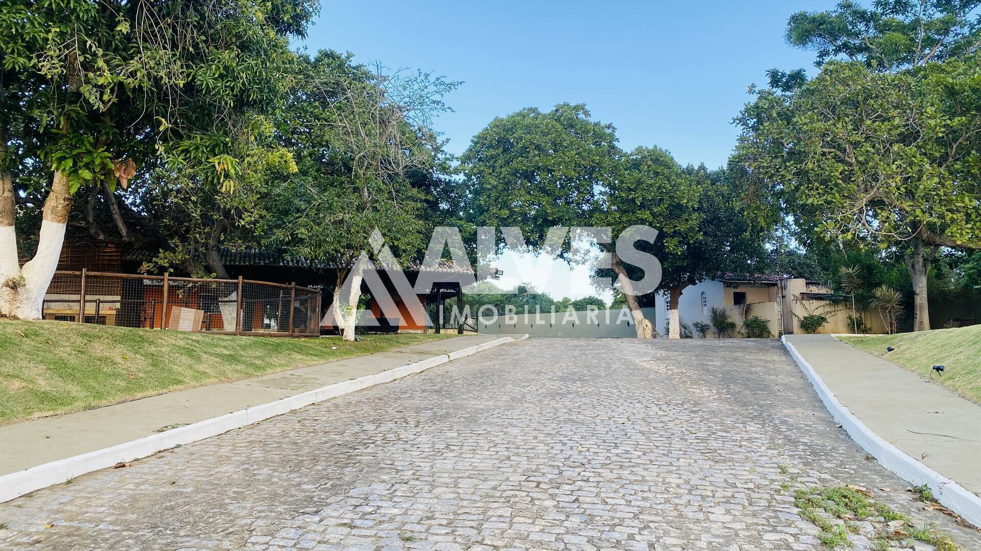 Sítio, 2 quartos, 300 m² - Foto 4