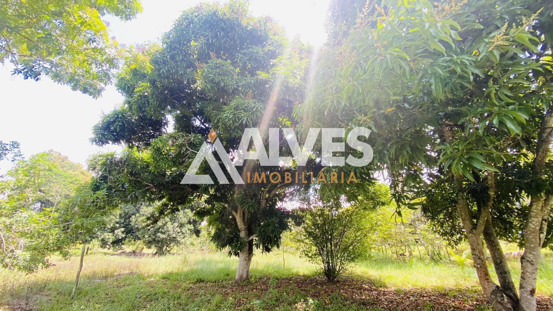 Terreno, 2178 m² - Foto 9