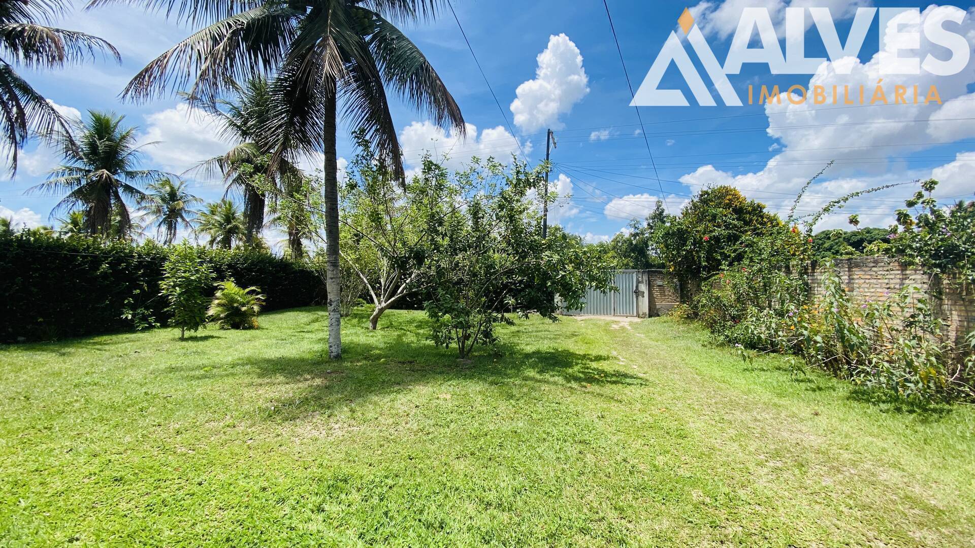 Terreno, 2178 m² - Foto 3