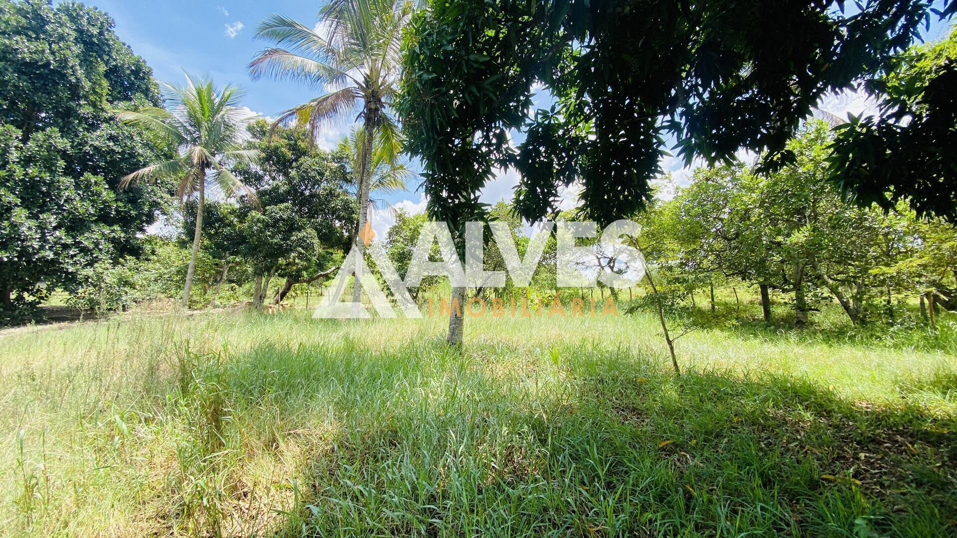 Terreno, 2178 m² - Foto 13