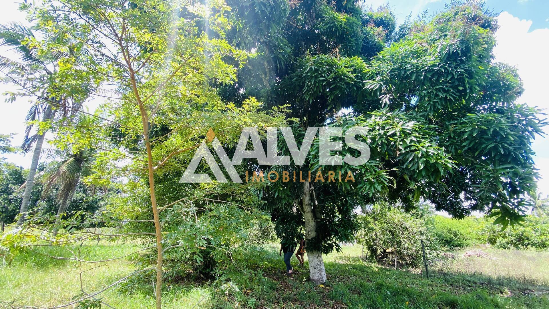 Terreno, 2178 m² - Foto 14