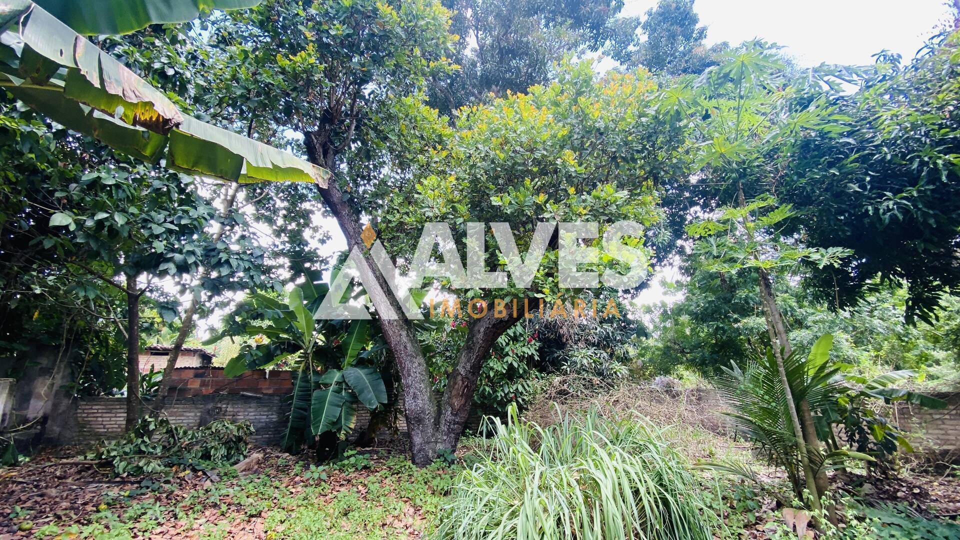 Terreno, 2178 m² - Foto 16