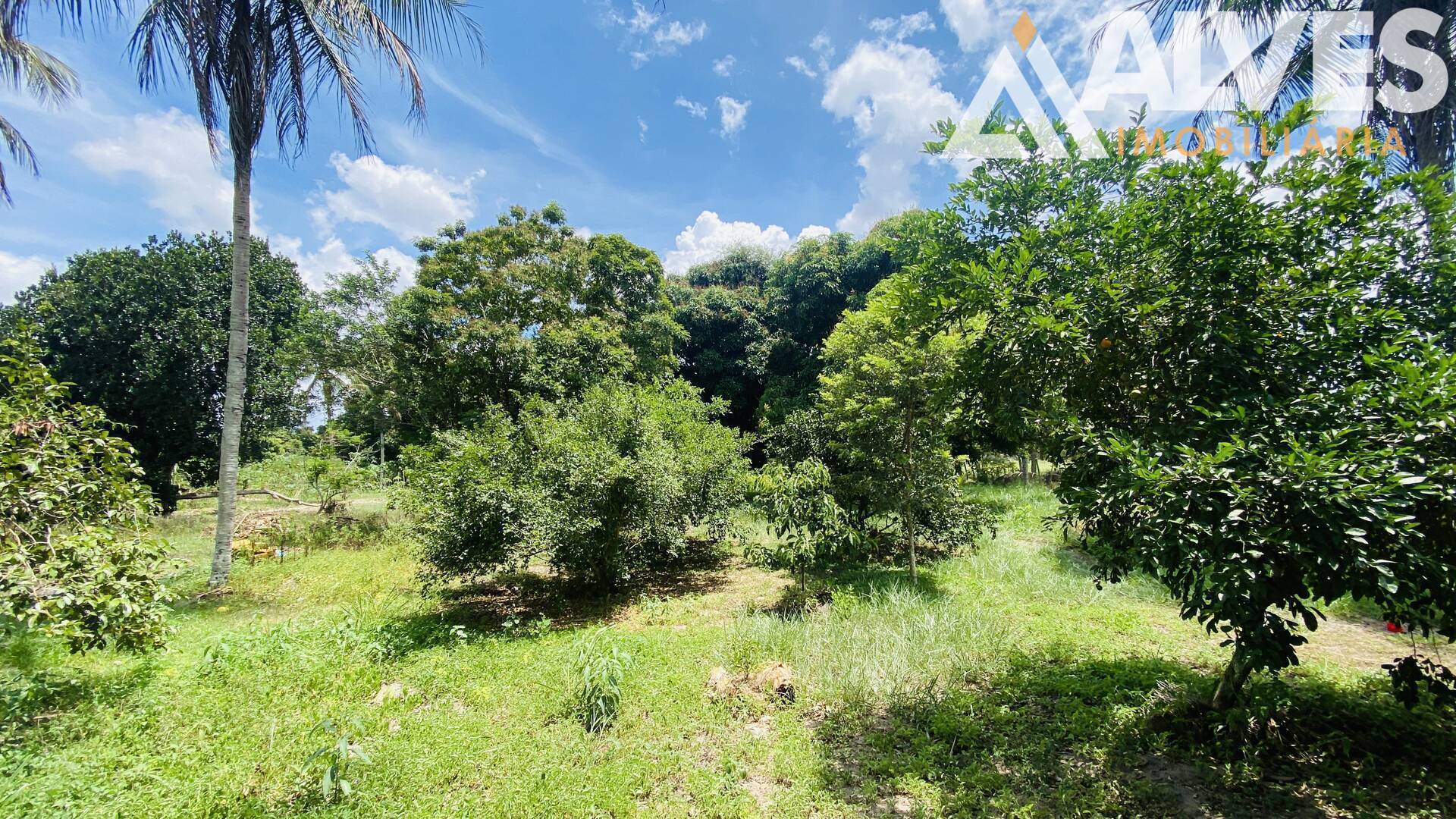 Terreno, 2178 m² - Foto 4