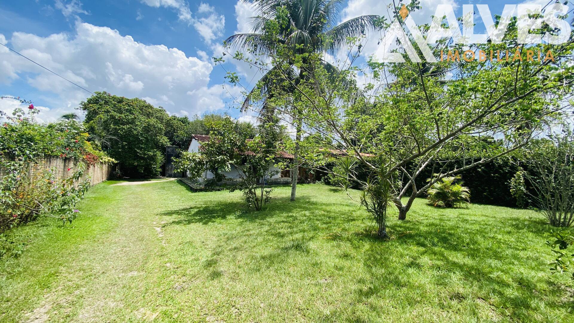 Terreno, 2178 m² - Foto 2