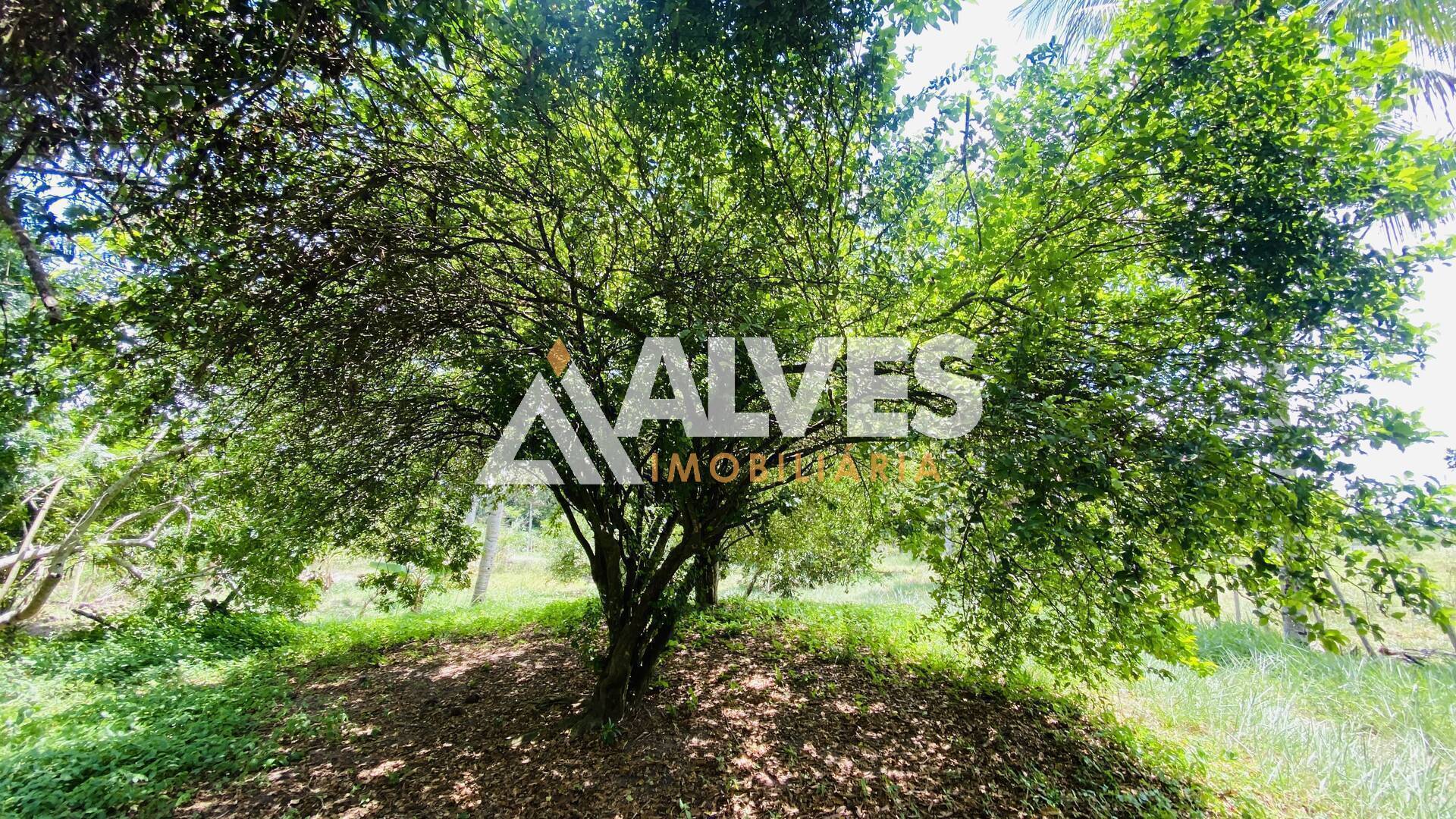 Terreno, 2178 m² - Foto 10