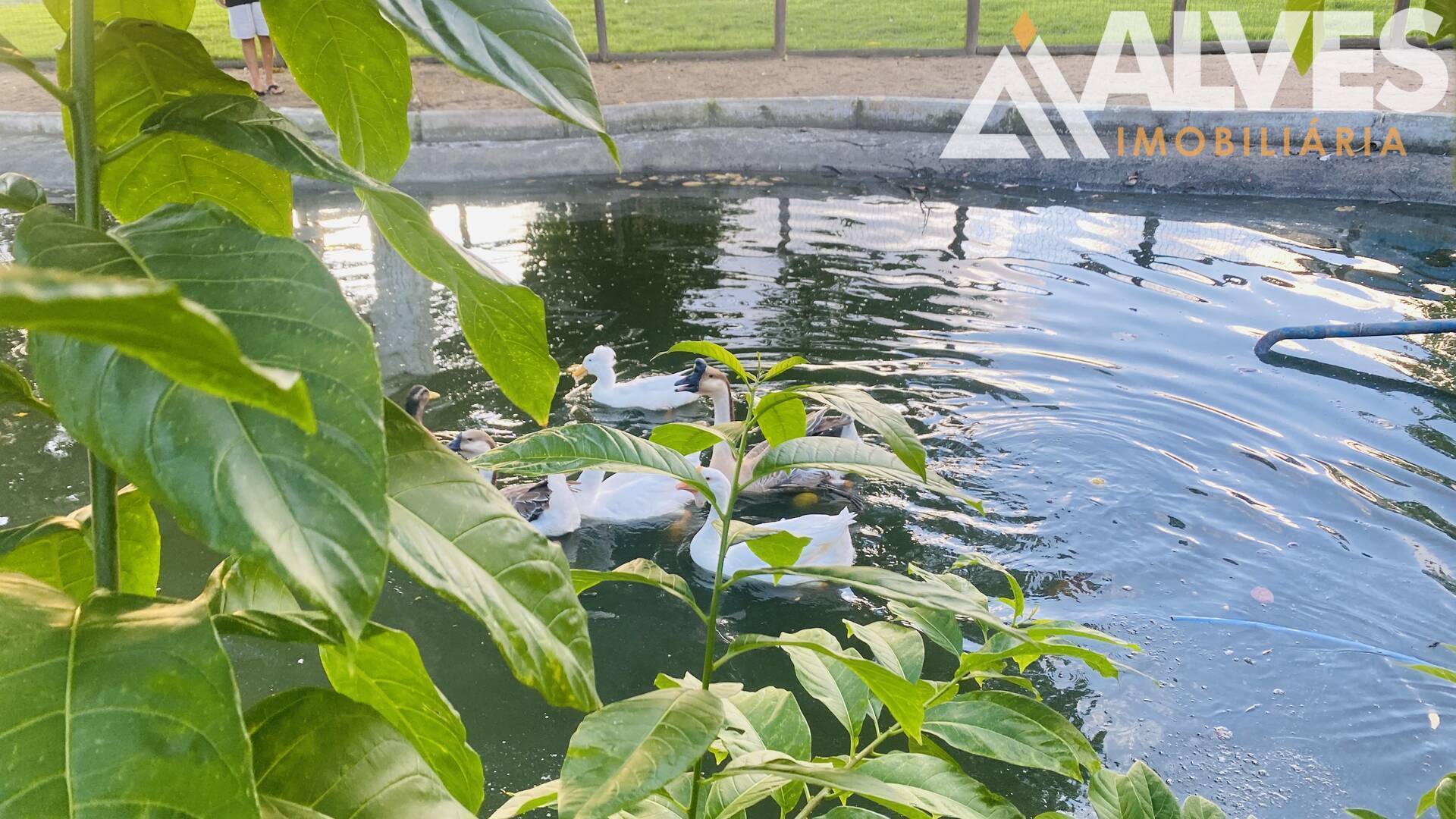 Terreno, 350 m² - Foto 18