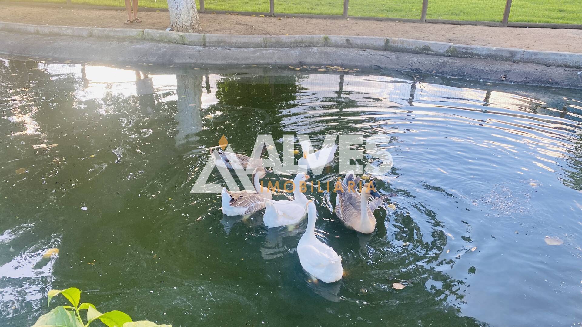 Sítio, 3 quartos, 452 m² - Foto 29