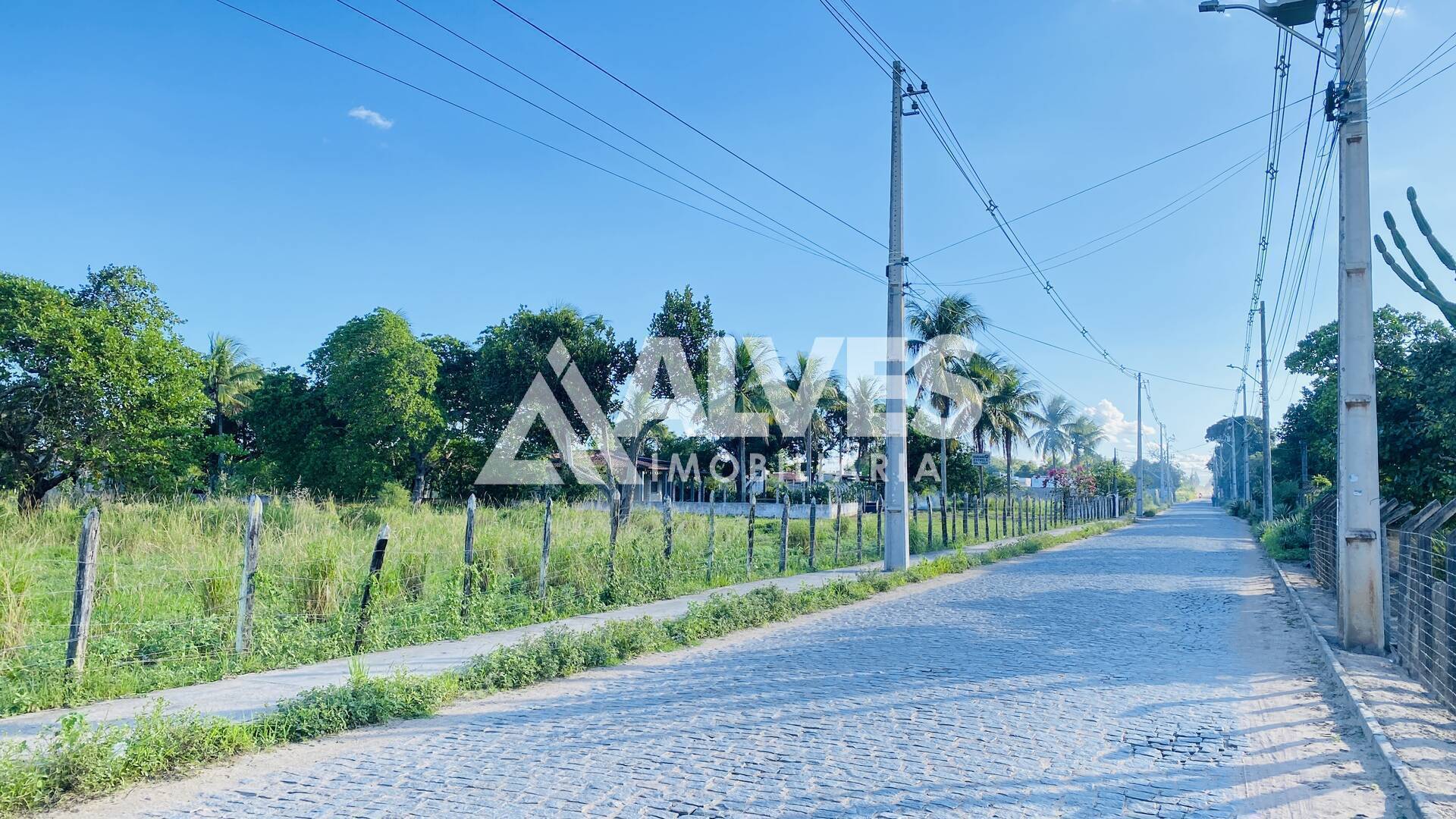 Terreno, 3 hectares - Foto 1