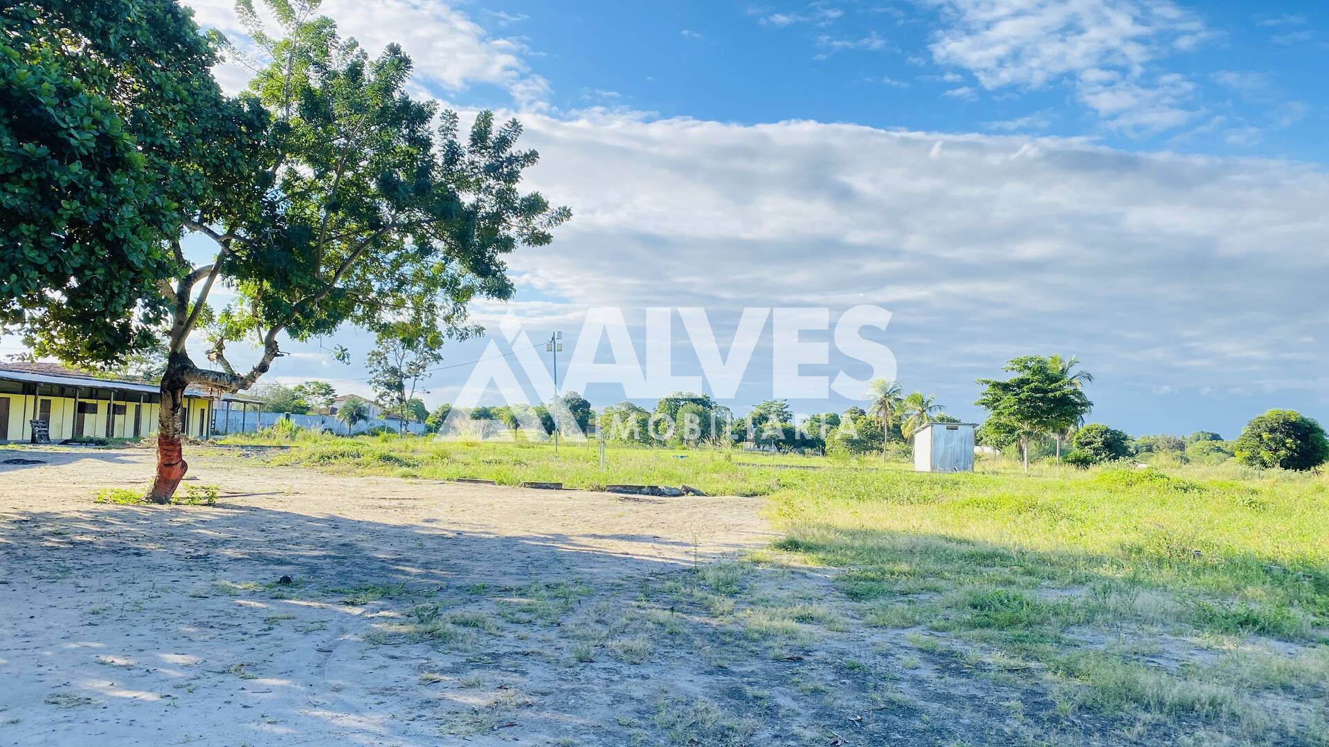 Terreno, 3 hectares - Foto 4