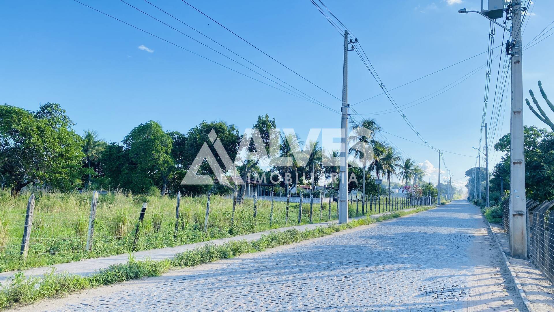 Terreno, 3 hectares - Foto 5