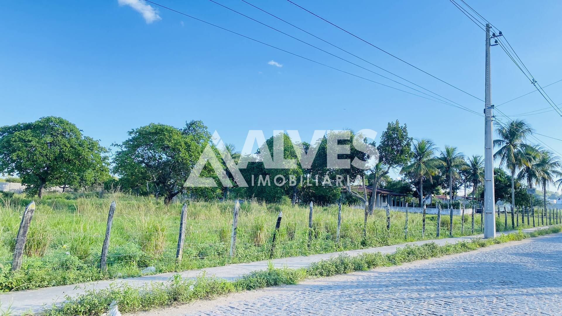 Terreno, 6 hectares - Foto 4