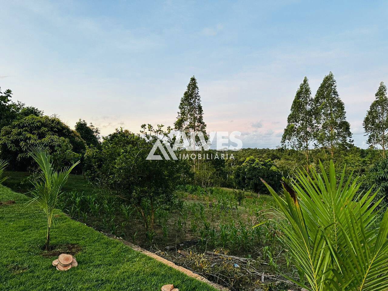 Casa à venda, 10000m² - Foto 6