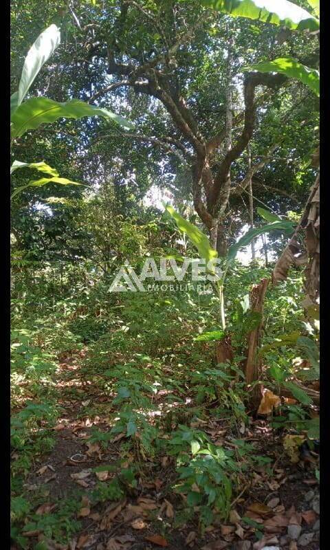 Terreno, 1 hectares - Foto 14