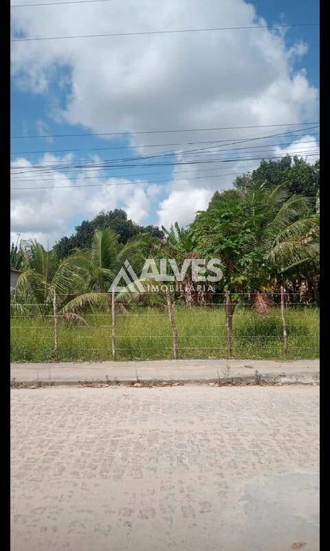 Terreno, 1 hectares - Foto 4