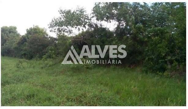 Terreno, 1 hectares - Foto 8