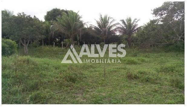 Terreno, 1 hectares - Foto 11