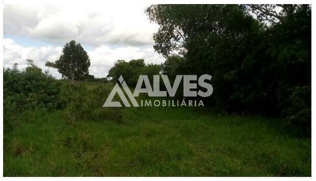 Terreno, 1 hectares - Foto 12