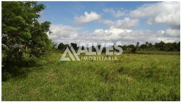 Terreno, 1 hectares - Foto 6