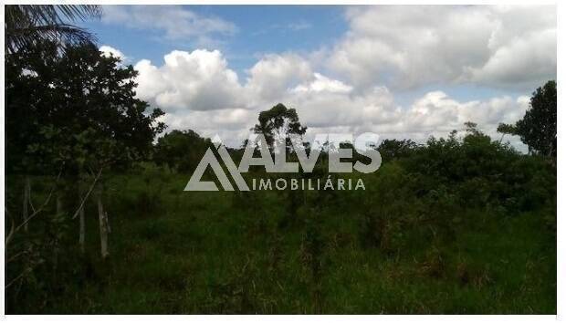 Terreno, 1 hectares - Foto 13