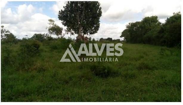 Terreno, 1 hectares - Foto 15