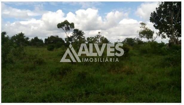 Terreno, 1 hectares - Foto 17