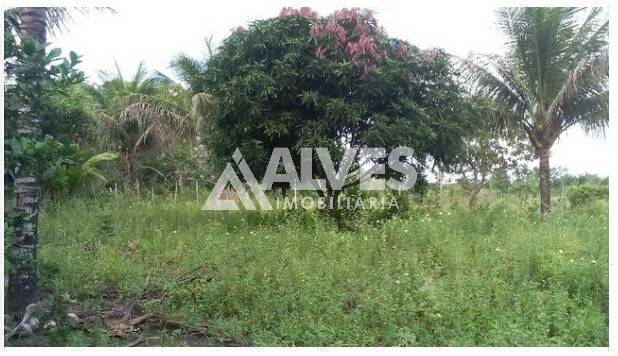 Terreno, 1 hectares - Foto 18