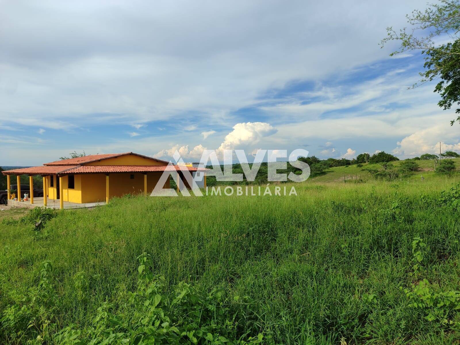 Chácara, 2 quartos, 2 hectares - Foto 3